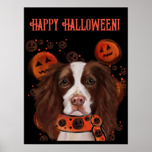 Poster Springer Spaniel Anglais      