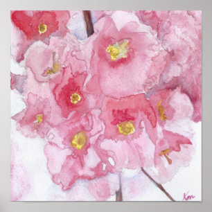Poster Springtime rose cerisier fleurs aquarelle