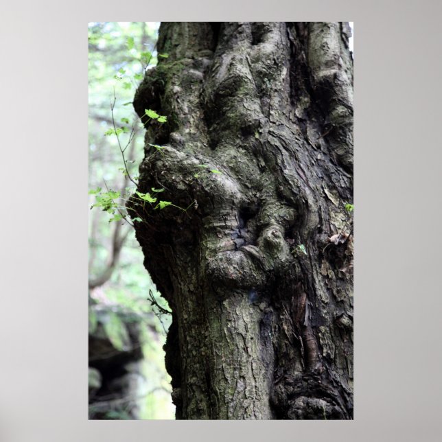 Poster sprite en bois (Devant)