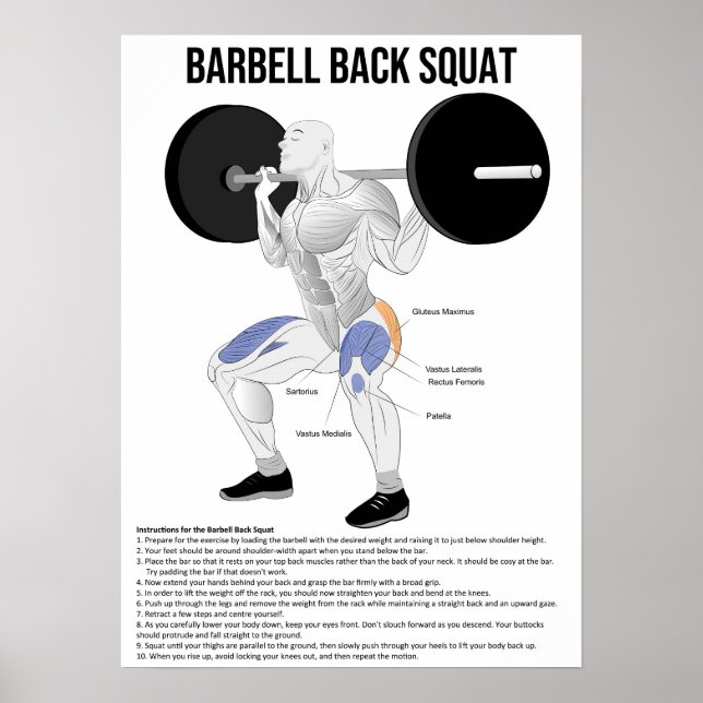 Poster Squat - Exercice - Muscle Anatomy Chart (Devant)