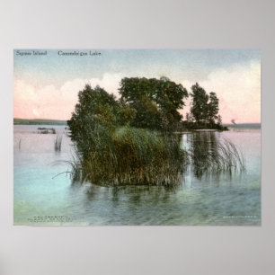 Poster Squaw Island, Canandaigua Lake, NY Vintage