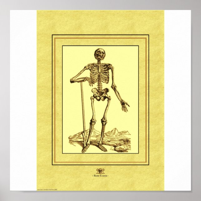 Poster Squelette (Devant)