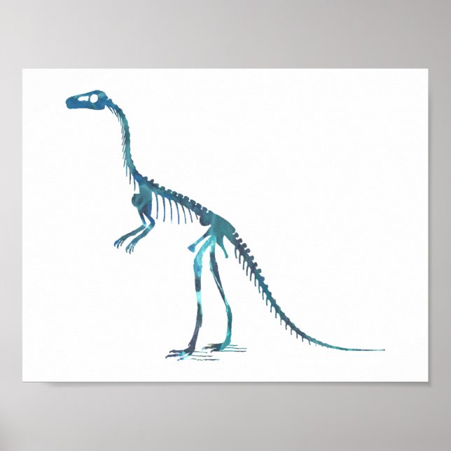 Poster squelette compsognathus (Devant)