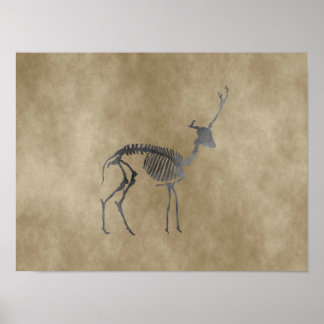 Poster squelette de cerf
