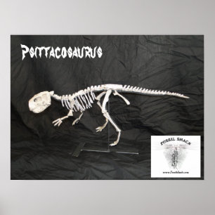 Poster Squelette de Psittacosaurus