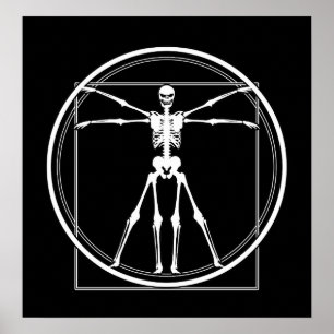 Poster Squelette de Vitruvian