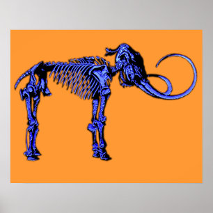 Poster Squelette gigantesque bleu