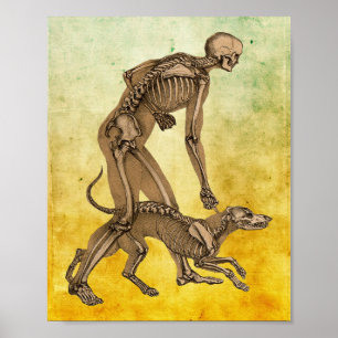 Poster squelette homme et chien animal humain anatomie ar