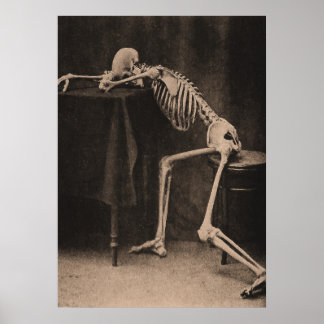 Poster Squelette ivre
