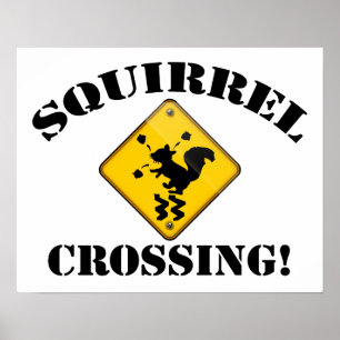 Poster Squirrel Crossing Road Sign