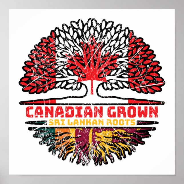 Poster Sri Lanka Sri Lanka Racines canadiennes d'arbres (Devant)