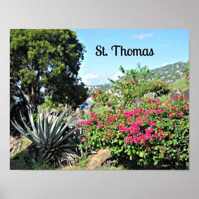 Poster St. Thomas (Devant)