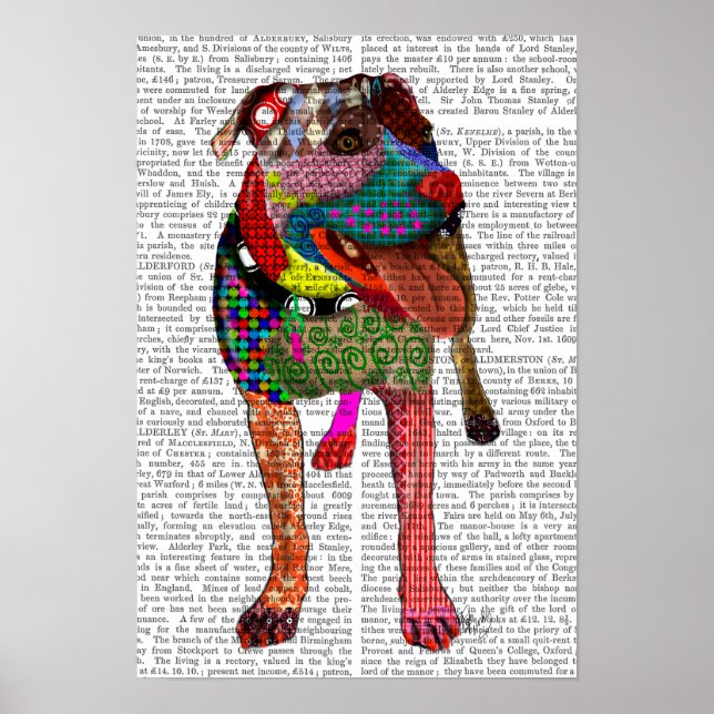 Poster Staffordshire Bull Terrier - Patchwork (Devant)