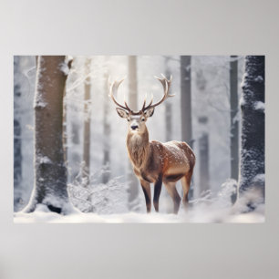 Poster Stag Deer Animal Faune Sauvage Art coloré