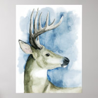 Stag errant - Aquarelle