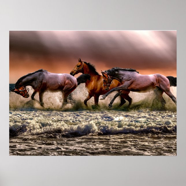 Poster Stallion des chevaux à la plage Photo Nature Wall  (Devant)