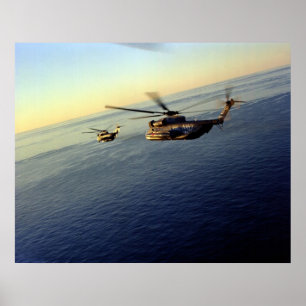 Poster Stallions de mer CH-53
