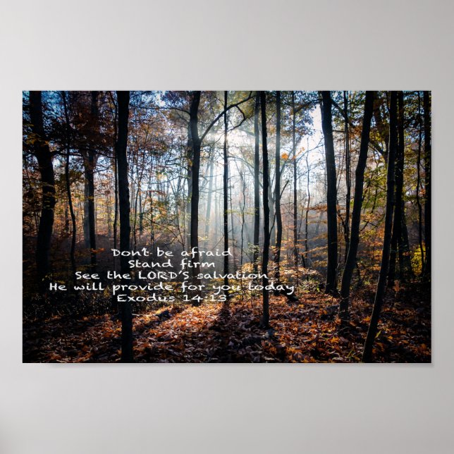 Poster Stand Firm — (Devant)