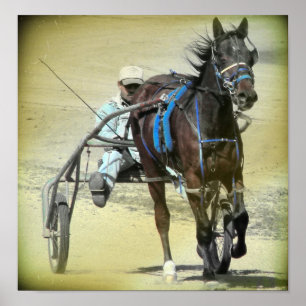 Poster Standardbred 2