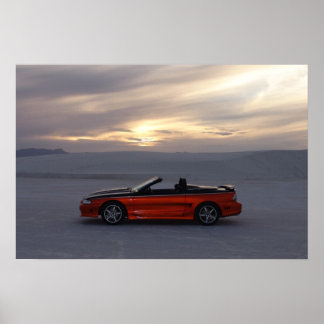 Poster Stang Convertible 1995