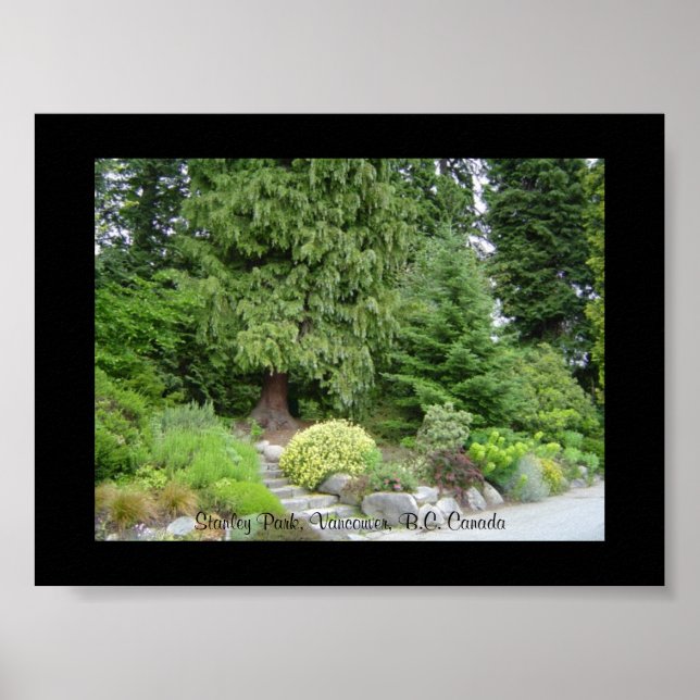 Poster Stanley Park, Vancouver (C.-B.) (Devant)