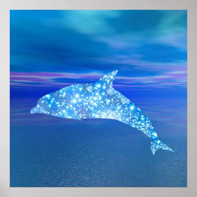 Poster Star Dolphin (Devant)