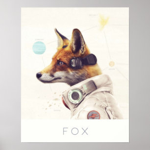 Poster Star Team Fox