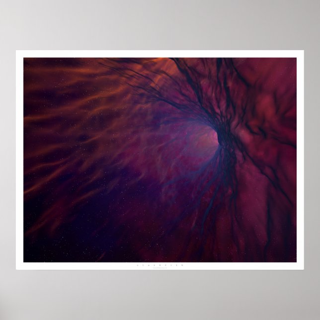 Poster Starbirth (Devant)