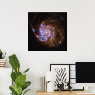 Poster Starbirth in the Pinwheel : Galaxy M101