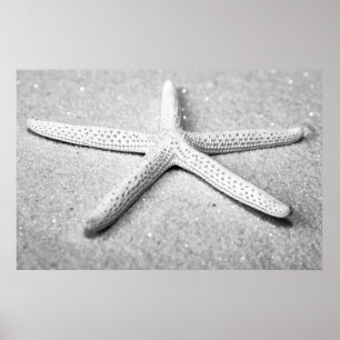 Poster Starfish