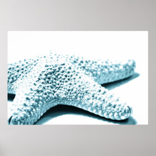 Poster Starfish bleu