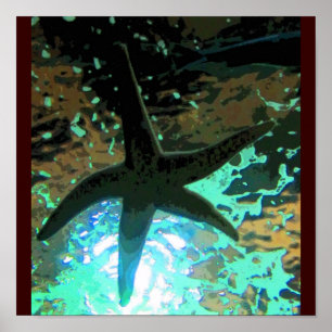 Poster Starfish CB