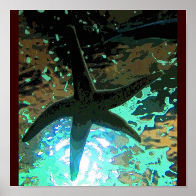 Poster Starfish CB (Devant)