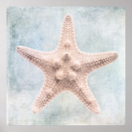 Poster Starfish distressed Coastal Blue Cream Watercolor