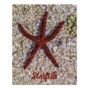 Poster Starfish Ocean Plage Vintage Souvenir rétro
