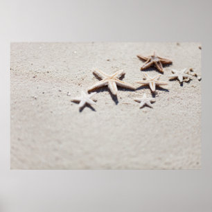 Poster Starfish on sand