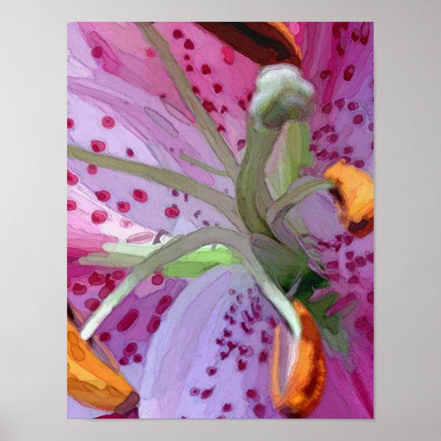 Poster Stargazer Lily peinture numérique (Devant)