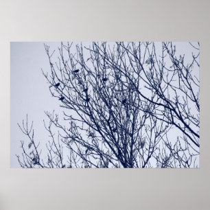 Poster Starlings dans un arbre
