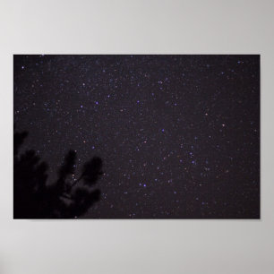 Poster Starry Night, Michigan