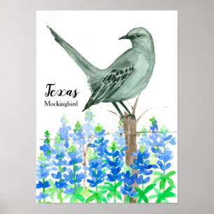 Poster State Bird of Texas Mockingbird