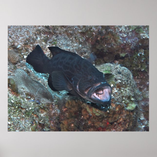 Poster Station de nettoyage (Devant)