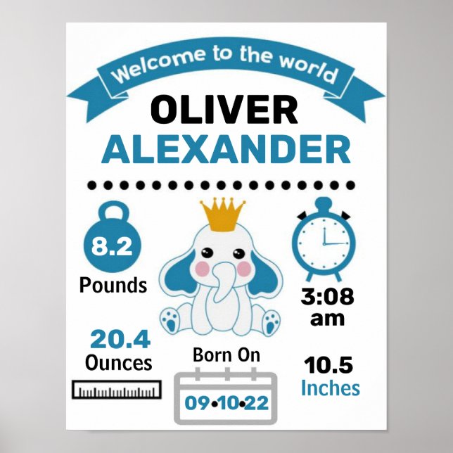 Poster Statistiques Blue Elephant Baby Birth (Devant)