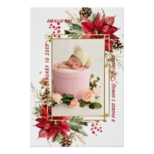 Poster Statistiques de naissance de bébé Photo Souvenir d
