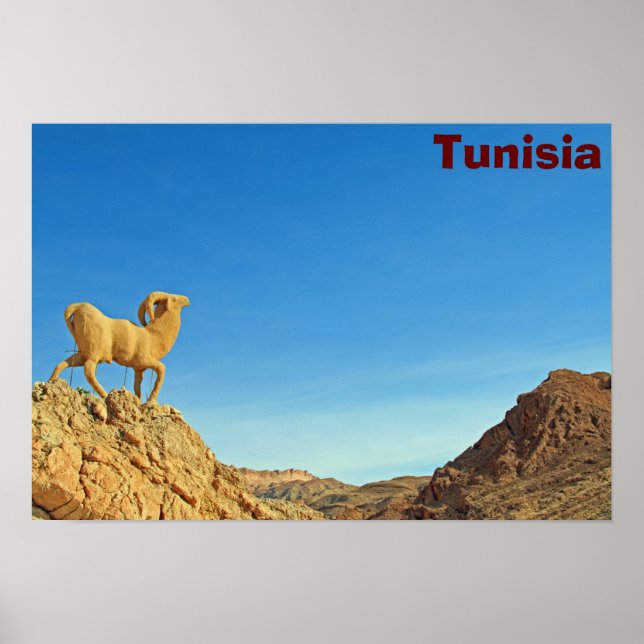Poster Statue de chèvre tunisienne (Devant)