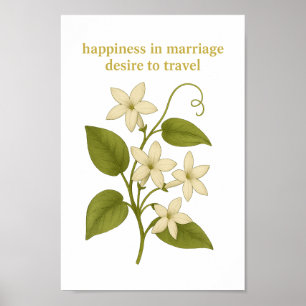 Poster Stephanotis — Le bonheur dans le mariage