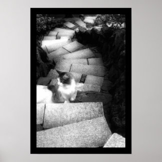 Poster Steping Stairs, chat