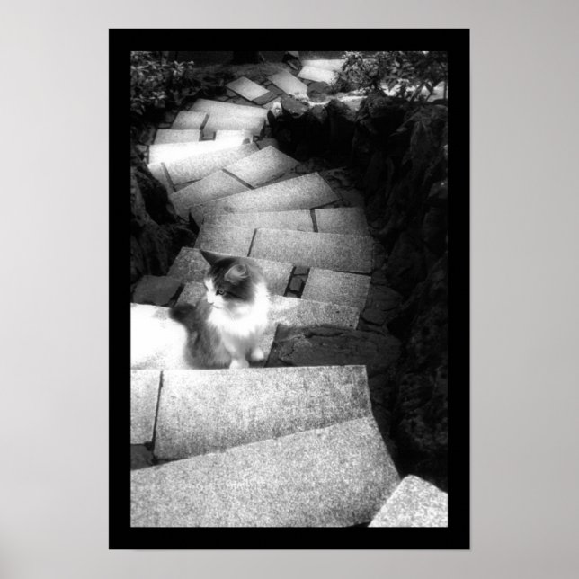 Poster Steping Stairs, chat (Devant)