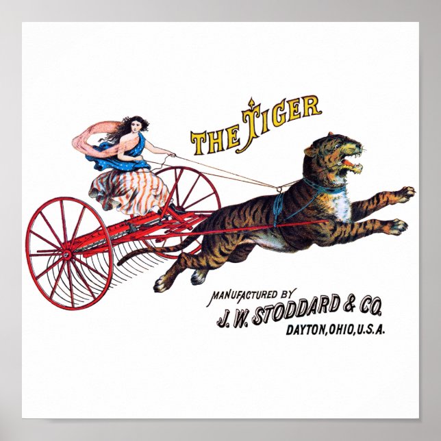 Poster Stoddard Tiger (Devant)