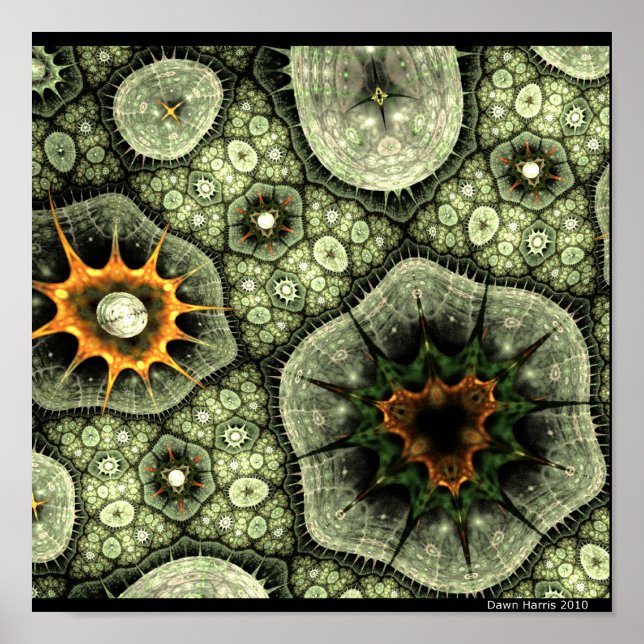 Poster Stone Lichen (Devant)