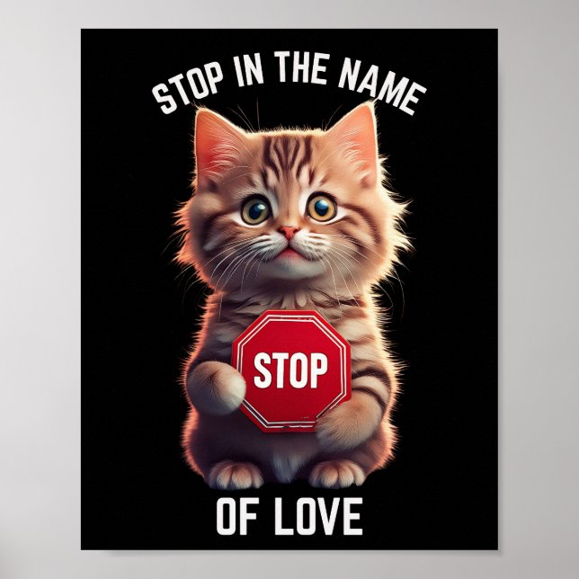 Poster Stop In the Name of Love (Devant)